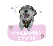 843235743