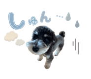 843235772