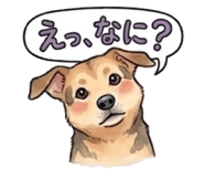 843235827