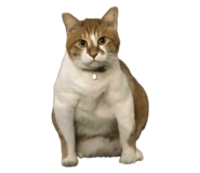 843235862