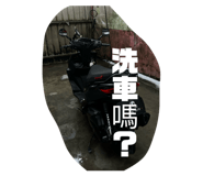 843236381