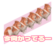 843236882