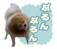 843236894