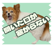 843236896