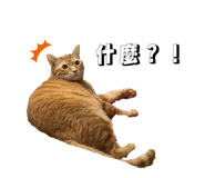 843237112