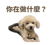 843237186