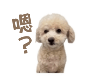 843237192