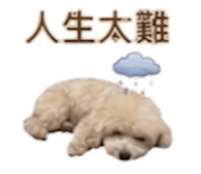 843237200