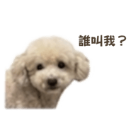 843237208