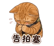 843237620