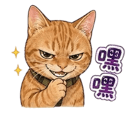 843237623