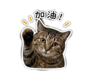 843237743