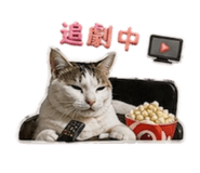 843238140