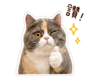 843238226
