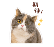 843238231