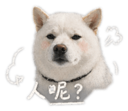 843238812