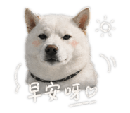 843238813