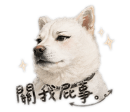 843238824