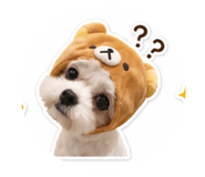 843238834
