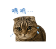 843238864