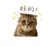 843238872