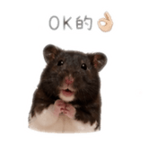 843239019