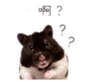 843239033