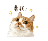 843239328