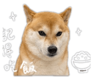 843239429