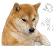 843239432