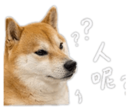 843239434