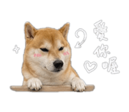 843239436