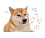 843239437