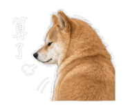 843239442
