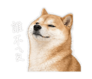 843239445