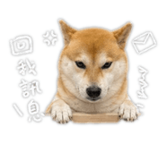 843239447