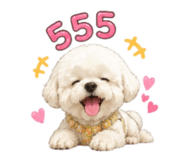 843239987