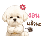 843239991