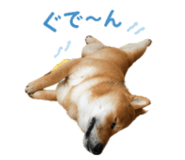 843252337
