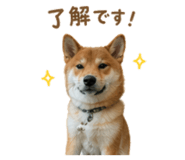 843252340
