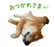 843252341