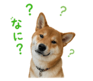 843252343
