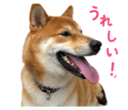 843252344