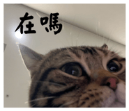 843252814