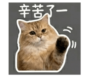 843253019