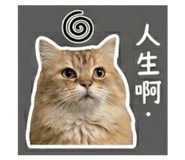 843253023