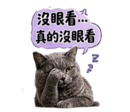 843253087