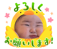 843253527
