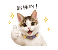 843253771