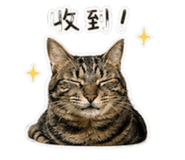 843253811